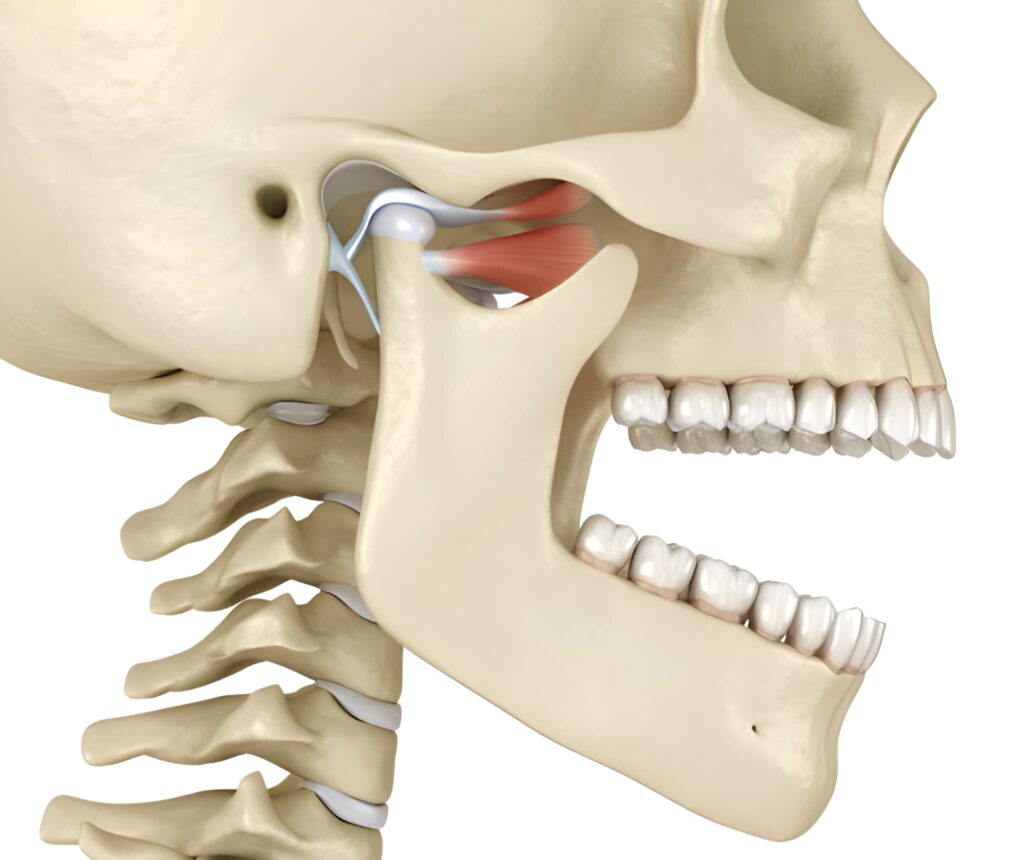 TMD vs. TMJ: What’s the Difference? Killeen, TX Dentist Explains Clearly_FI